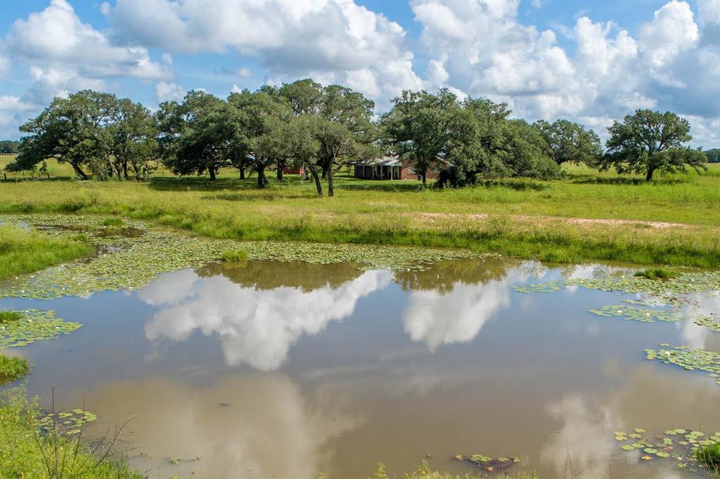 16212 FM 682 Yoakum, Texas If you are looking for a secluded country home with easy access to the highway where you can fish, hunt, raise cattle and your family, this is it! The ag-exempt 37.88 acres are just off US Hwy 77 north of Fordtran, halfway between Victoria and Hallettsville. An additional 34 acres with pond are available at the back of the property, for a potential total of 72 gorgeous acres. The level 37.88 acres are 70% wooded with exceptional live oaks, immense post oaks, and scattered yaupon. The open pasture is mostly coastal Bermuda and other native grasses, perfect for cattle. More giant oak trees and lush grass surround the homesite overlooking a half-acre pond is in the front pasture. This homestead has two access easements, one to the cattle guard entrance and house, and the other to the back of the property. There is partial perimeter fencing. The house was built in 1985 and is a 1,700 sq. ft. with 2 beds and 1.5 baths.