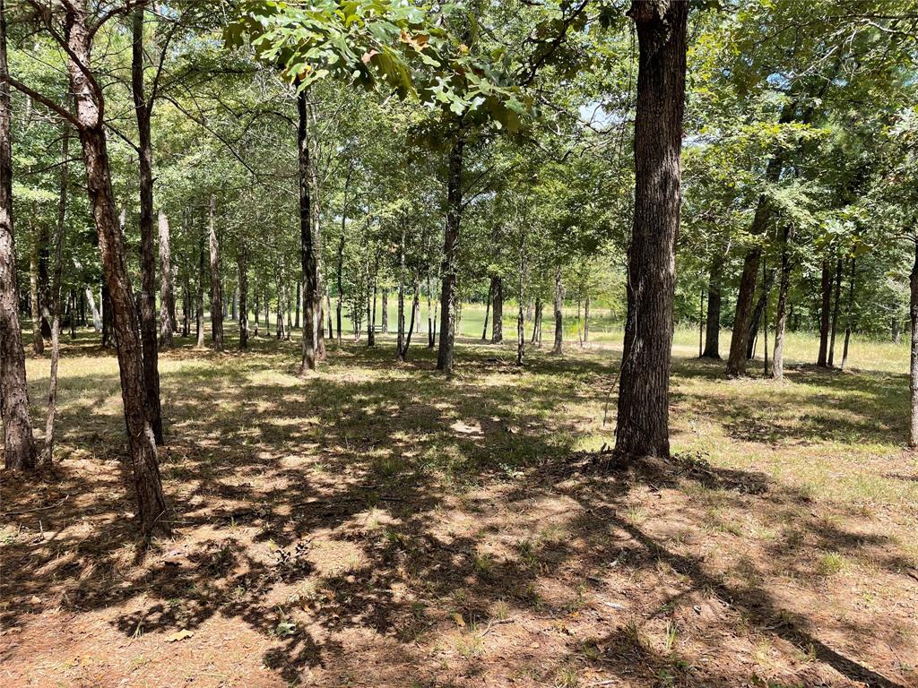 23514 Saratoga Woods Drive, Montgomery, Texas 77316, ,Country Homes/acreage,For Sale,Saratoga Woods,7896068