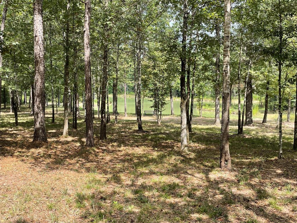 23514 Saratoga Woods Drive, Montgomery, Texas 77316, ,Country Homes/acreage,For Sale,Saratoga Woods,7896068