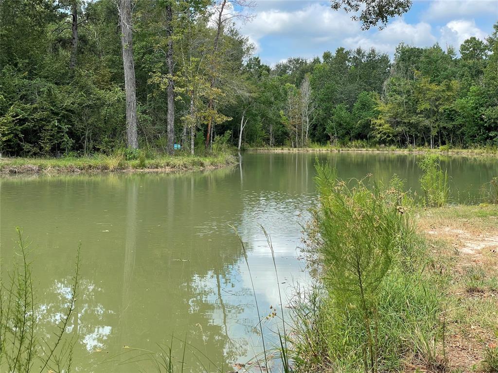 23514 Saratoga Woods Drive, Montgomery, Texas 77316, ,Country Homes/acreage,For Sale,Saratoga Woods,7896068