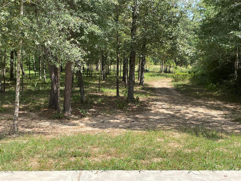 23514 Saratoga Woods Drive, Montgomery, Texas 77316, ,Country Homes/acreage,For Sale,Saratoga Woods,7896068