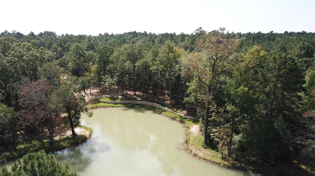 23514 Saratoga Woods Drive, Montgomery, Texas 77316, ,Country Homes/acreage,For Sale,Saratoga Woods,7896068