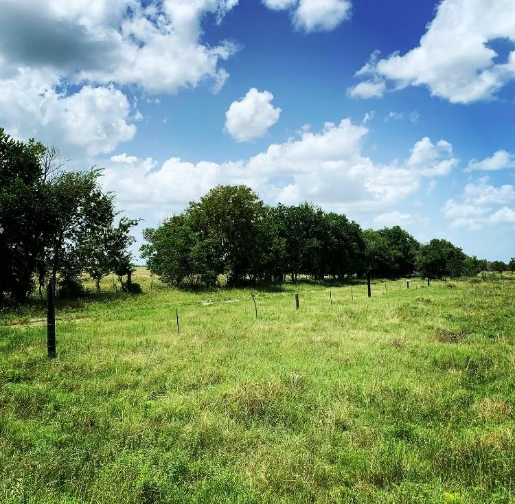 000 Fm 1462 Road, Damon, Texas 77430, ,Country Homes/acreage,For Sale,Fm 1462,3926580