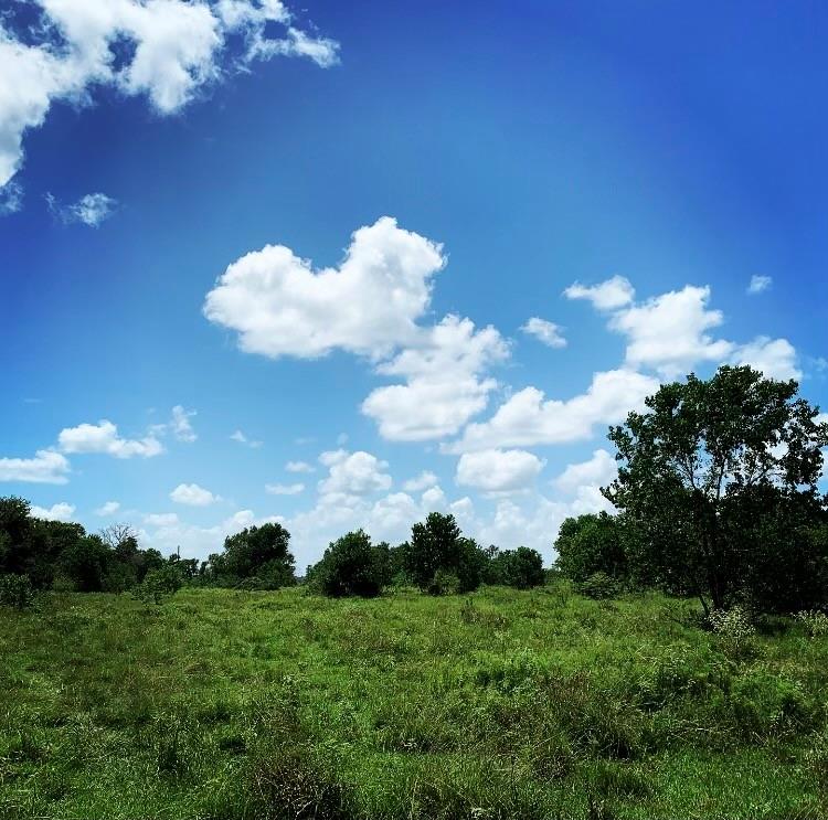 000 Fm 1462 Road, Damon, Texas 77430, ,Country Homes/acreage,For Sale,Fm 1462,3926580