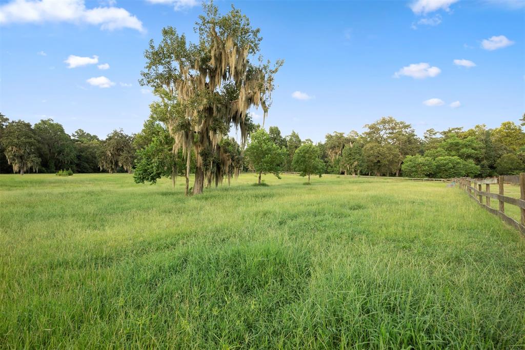 26630 2 Sycamore Circle, Magnolia, Texas 77354, 5 Bedrooms Bedrooms, 15 Rooms Rooms,5 BathroomsBathrooms,Country Homes/acreage,For Sale,Sycamore,69845831