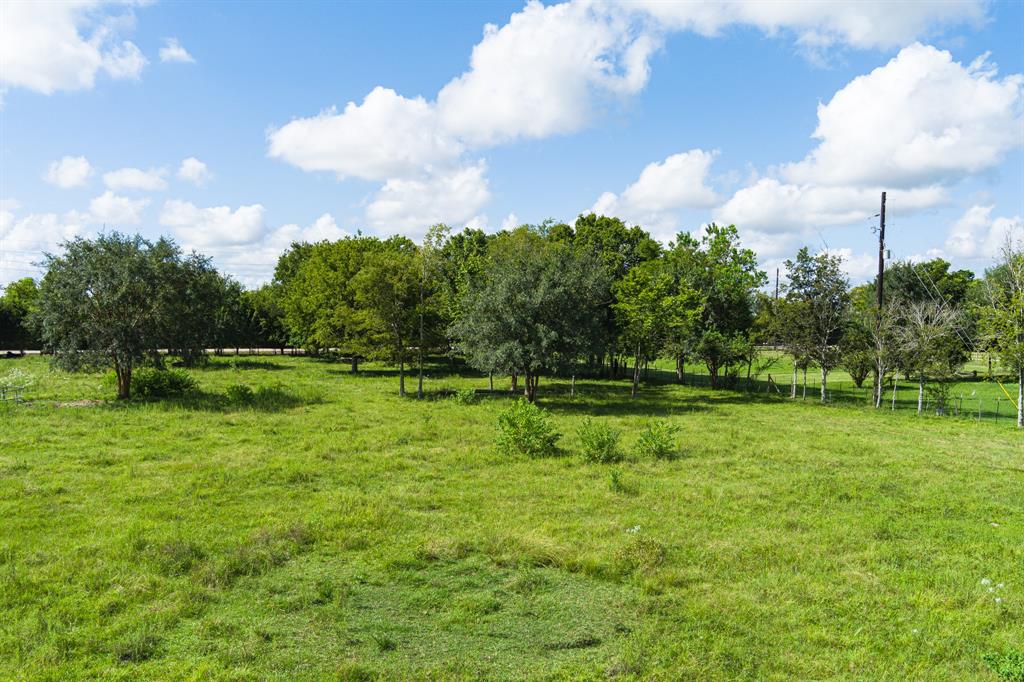 0 County Road 48-81, Iowa Colony, Texas 77583, ,Country Homes/acreage,For Sale,County Road 48-81,17114289