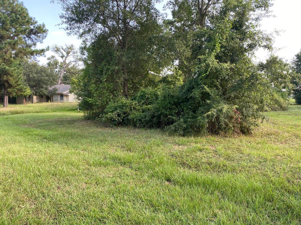 Livingston, TX 77351,TBD Bending Oaks LN