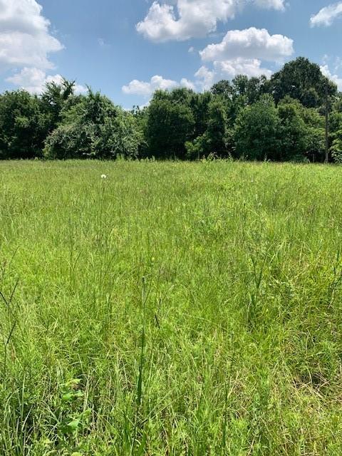 TBD Emmott Rd Road, Houston, Texas 77040, ,Lots,For Sale,Emmott Rd,60486917