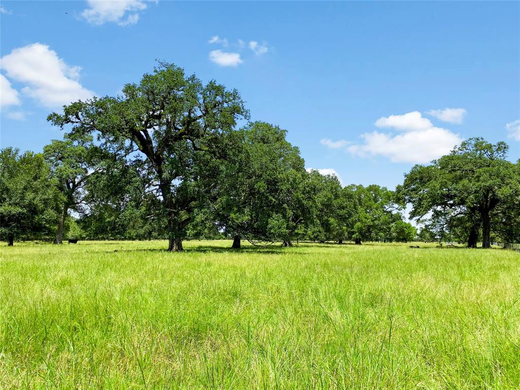 0 County Road 740 Off, Danciger, Texas 77444, ,Country Homes/acreage,For Sale,County Road 740 Off,96805558