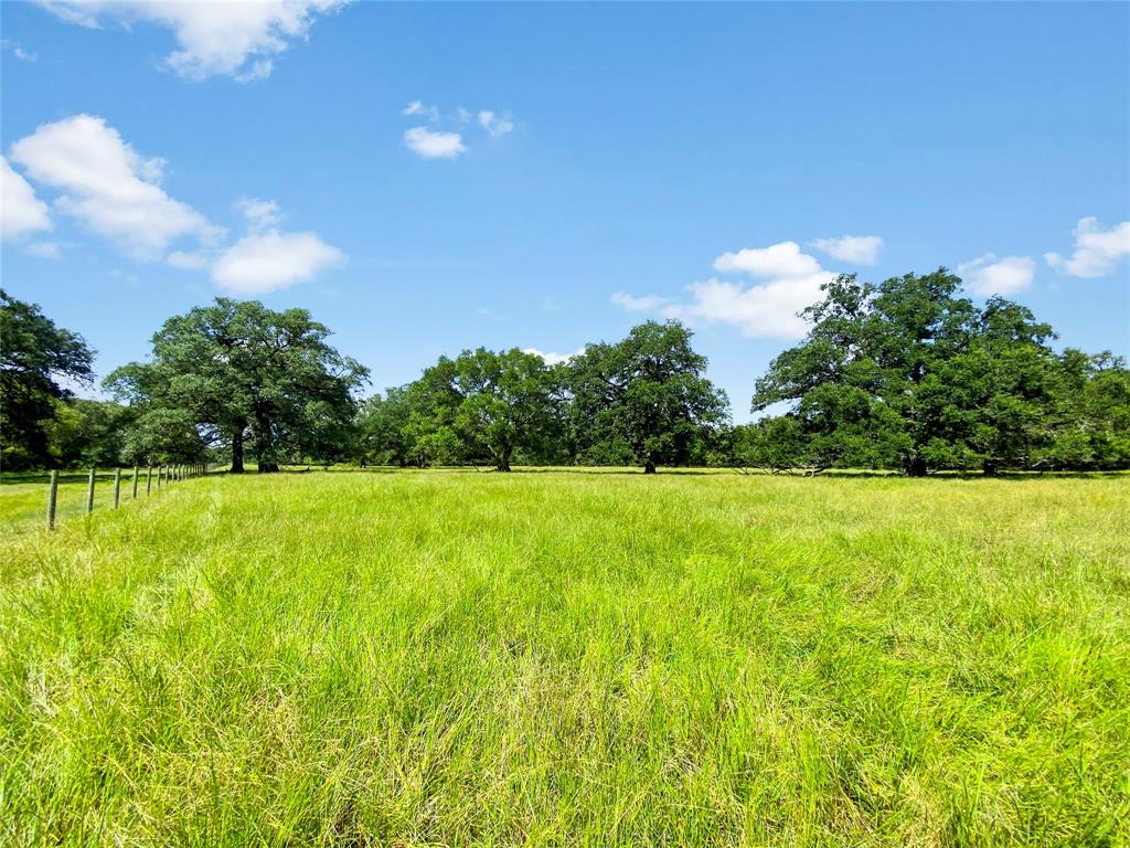 0 County Road 740 Off, Danciger, Texas 77444, ,Country Homes/acreage,For Sale,County Road 740 Off,96805558