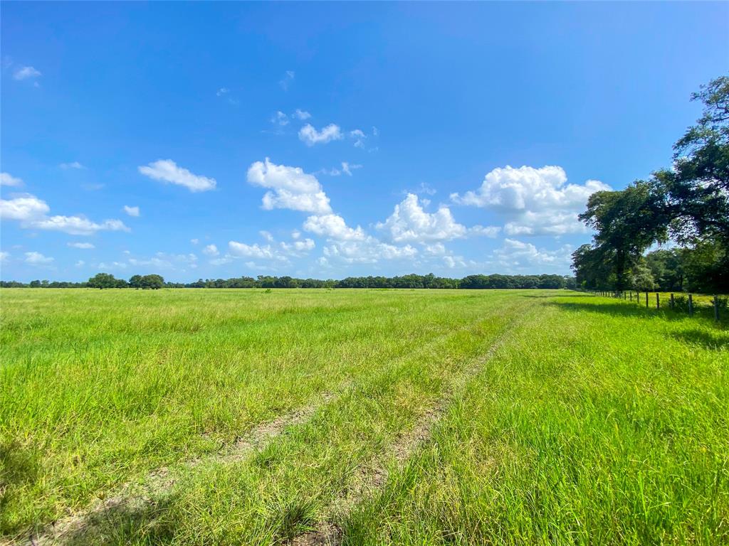 0 County Road 740 Off, Danciger, Texas 77444, ,Country Homes/acreage,For Sale,County Road 740 Off,96805558