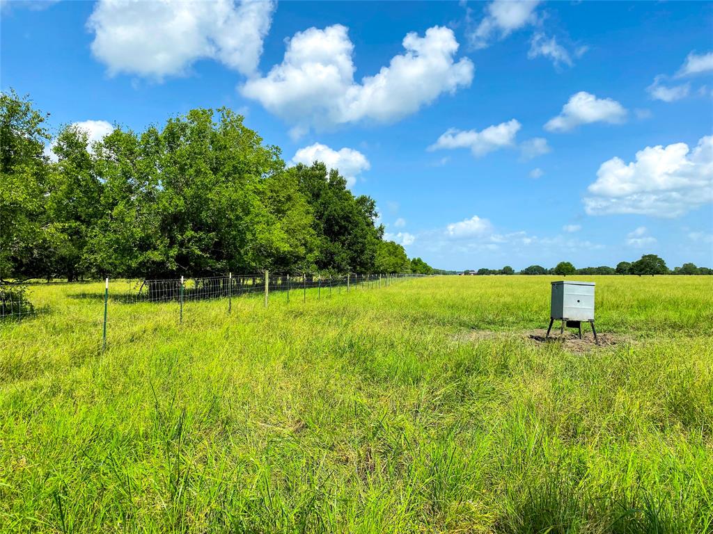 0 County Road 740 Off, Danciger, Texas 77444, ,Country Homes/acreage,For Sale,County Road 740 Off,96805558