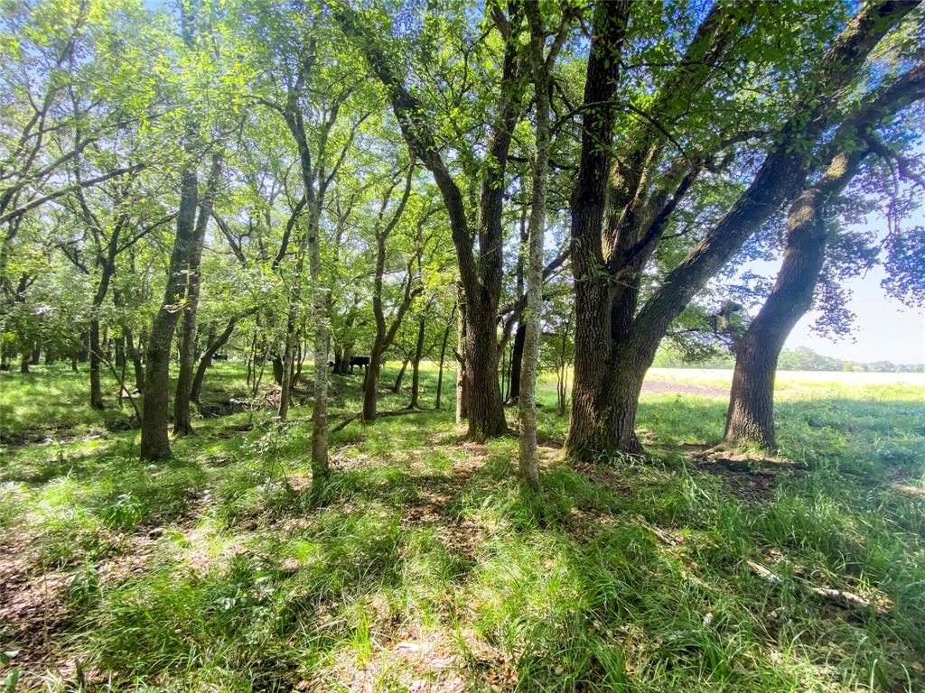 0 County Road 740 Off, Danciger, Texas 77444, ,Country Homes/acreage,For Sale,County Road 740 Off,96805558