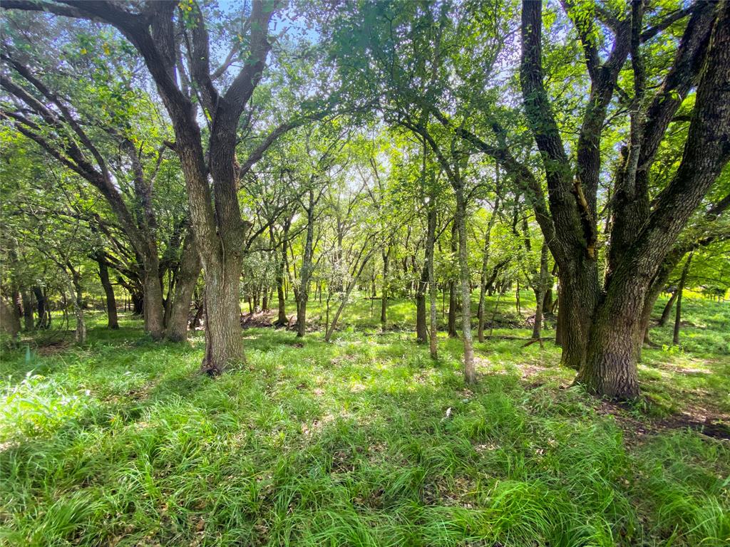 0 County Road 740 Off, Danciger, Texas 77444, ,Country Homes/acreage,For Sale,County Road 740 Off,96805558