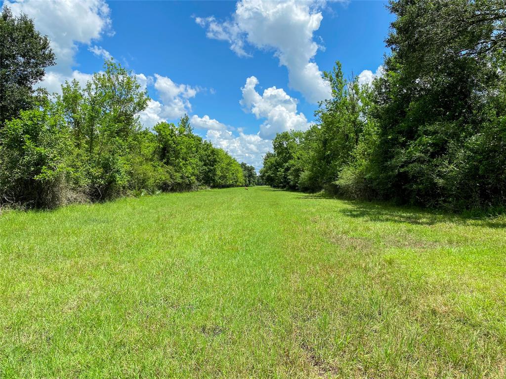 0 County Road 740 Off, Danciger, Texas 77444, ,Country Homes/acreage,For Sale,County Road 740 Off,96805558