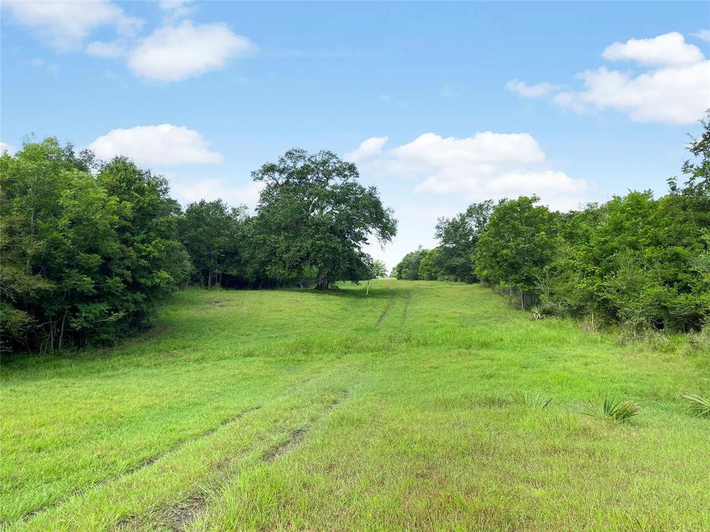 0 County Road 740 Off, Danciger, Texas 77444, ,Country Homes/acreage,For Sale,County Road 740 Off,96805558