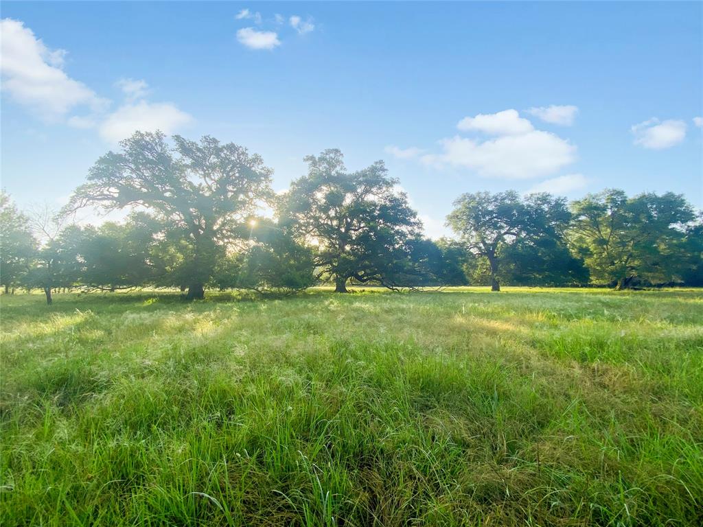 0 County Road 740 Off, Danciger, Texas 77444, ,Country Homes/acreage,For Sale,County Road 740 Off,96805558