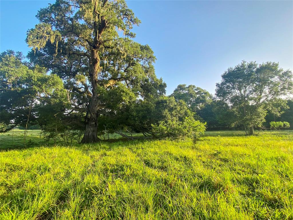 0 County Road 740 Off, Danciger, Texas 77444, ,Country Homes/acreage,For Sale,County Road 740 Off,96805558