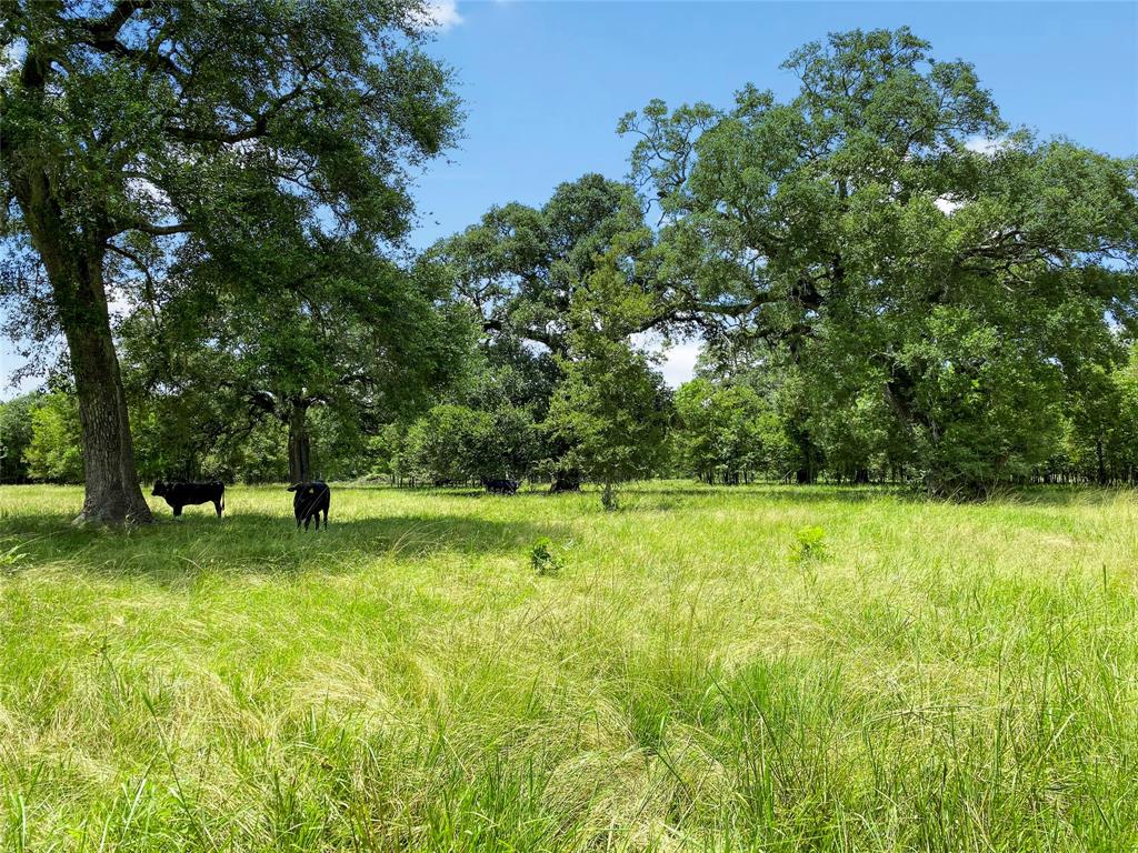 0 County Road 740 Off, Danciger, Texas 77444, ,Country Homes/acreage,For Sale,County Road 740 Off,96805558