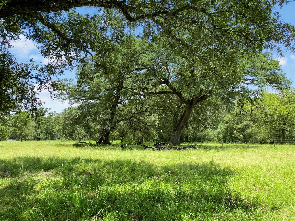 0 County Road 740 Off, Danciger, Texas 77444, ,Country Homes/acreage,For Sale,County Road 740 Off,96805558