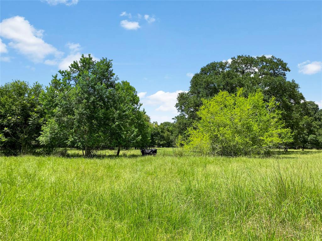 0 County Road 740 Off, Danciger, Texas 77444, ,Country Homes/acreage,For Sale,County Road 740 Off,96805558