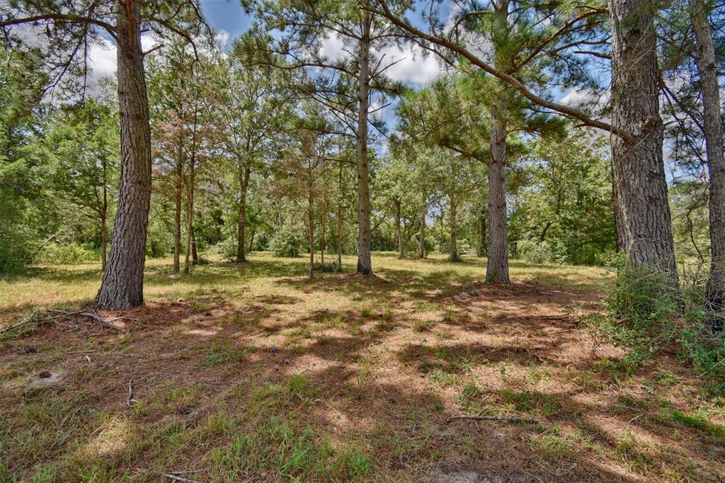 8077 Jared Road, Bellville, Texas 77418, ,Lots,For Sale,Jared,31884954