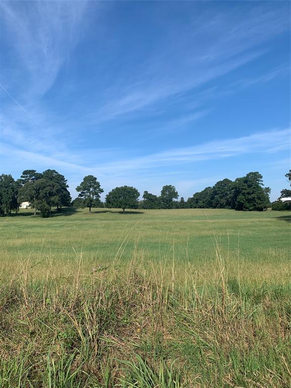 10.36 Easy Street Livingston, Texas Gorgeous acreage just minutes from downtown Livingston. 10+ acres of beautiful rolling land, cleared and under pasture. This parcel has a small pond on the left side. Approximately 330 ft of road frontage. Build your dream home, sit back and enjoy life in the country.