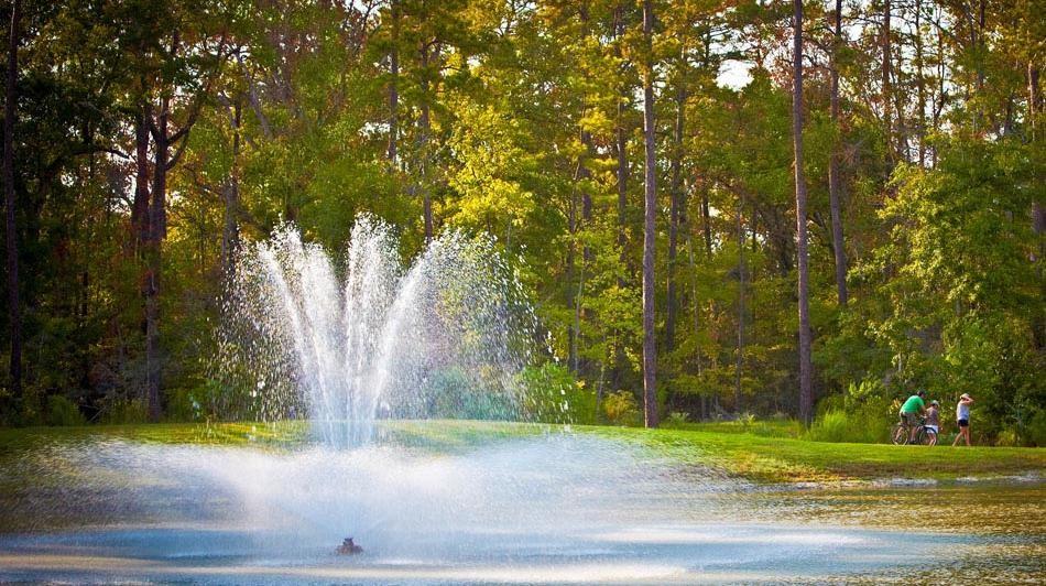 164 1 East Cascade Heights Drive, Montgomery, Texas 77316, 4 Bedrooms Bedrooms, 8 Rooms Rooms,3 BathroomsBathrooms,Single-family,For Sale,East Cascade Heights,74199119