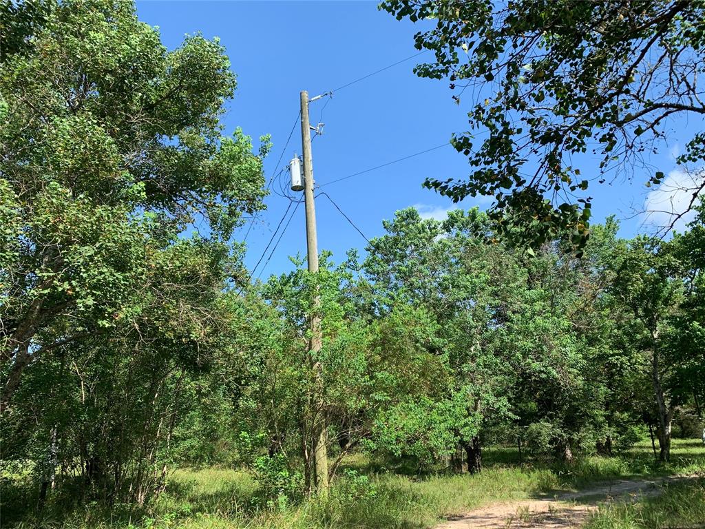 28824 Fm 1462 Road, Damon, Texas 77430, ,Country Homes/acreage,For Sale,Fm 1462,66149161