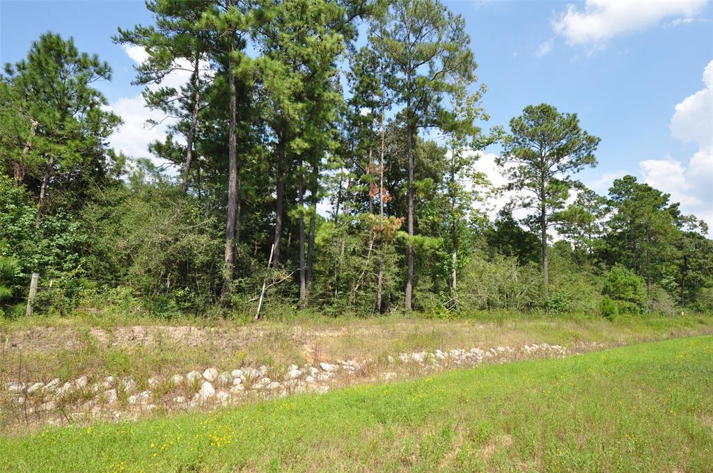 00000 GRAND PINES, Magnolia, Texas 77355, ,Lots,For Sale,GRAND PINES,10628040