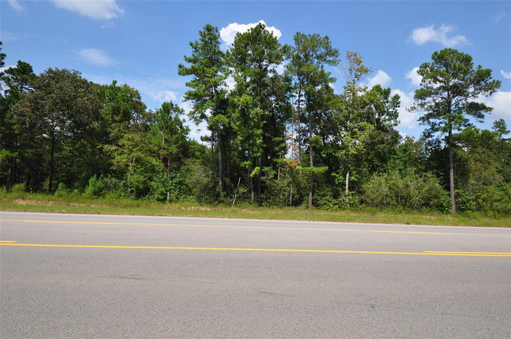 00000 GRAND PINES, Magnolia, Texas 77355, ,Lots,For Sale,GRAND PINES,10628040