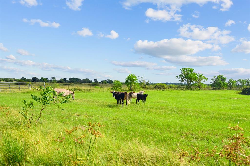 16610 1 Warren Ranch Road, Hockley, Texas 77447, 3 Bedrooms Bedrooms, 5 Rooms Rooms,2 BathroomsBathrooms,Country Homes/acreage,For Sale,Warren Ranch,87100234