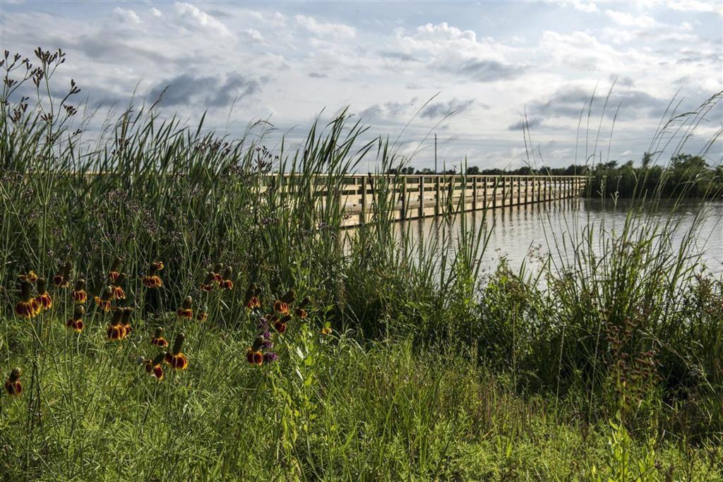 4218 2 Ana Ridge Lane, Fulshear, Texas 77441, 4 Bedrooms Bedrooms, 7 Rooms Rooms,4 BathroomsBathrooms,Single-family,For Sale,Ana Ridge,62617395