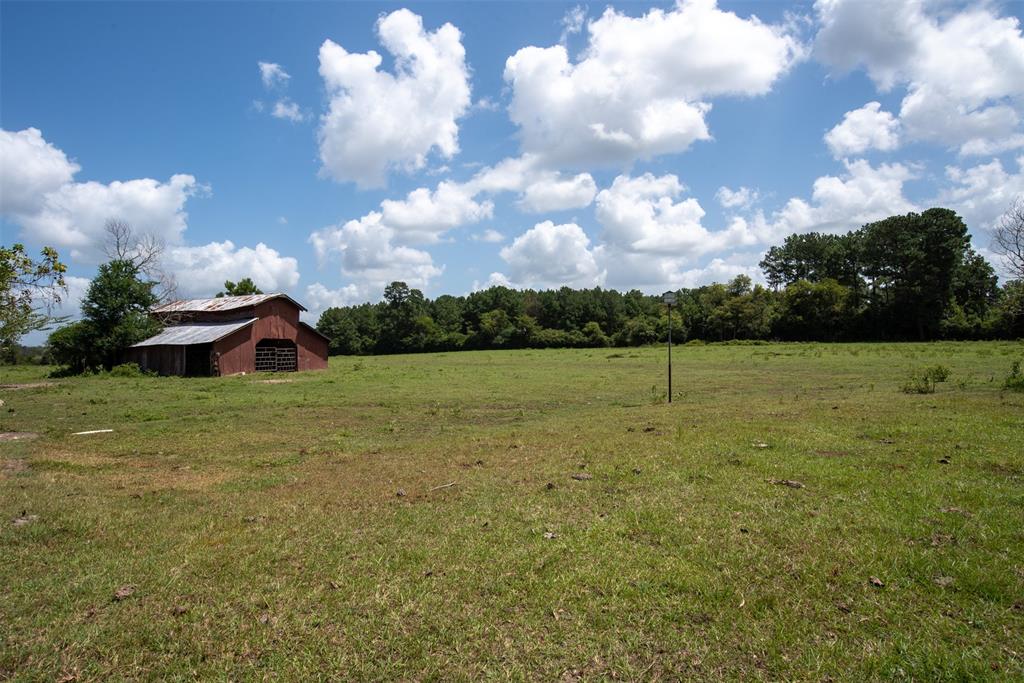 Apple Springs, TX 75926,9761 Farm to Market 2501