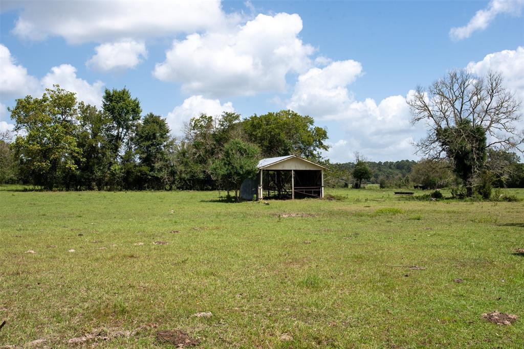 Apple Springs, TX 75926,9761 Farm to Market 2501