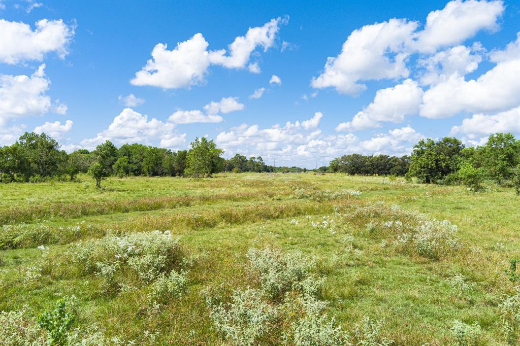 0 County Road 786, Iowa Colony, Texas 77583, ,Country Homes/acreage,For Sale,County Road 786,28213385