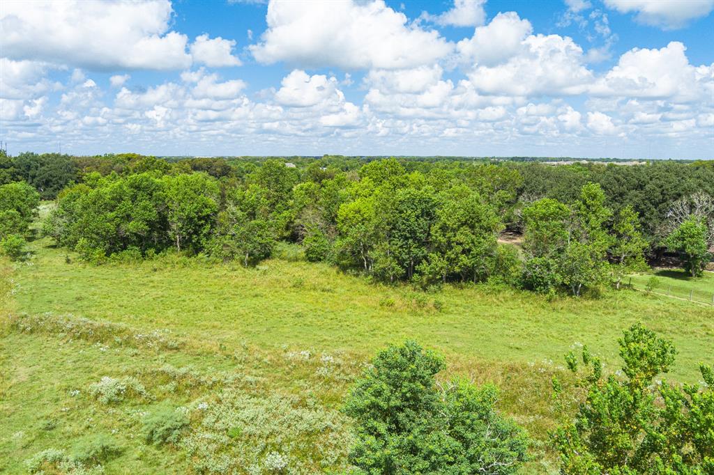 0 County Road 786, Iowa Colony, Texas 77583, ,Country Homes/acreage,For Sale,County Road 786,28213385