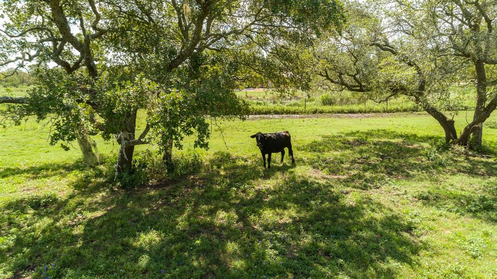 911 Brazos River Road, Freeport, Texas 77541, ,Country Homes/acreage,For Sale,Brazos River,6851171