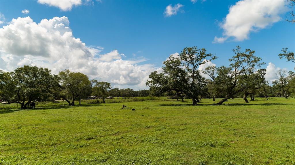 911 Brazos River Road, Freeport, Texas 77541, ,Country Homes/acreage,For Sale,Brazos River,6851171