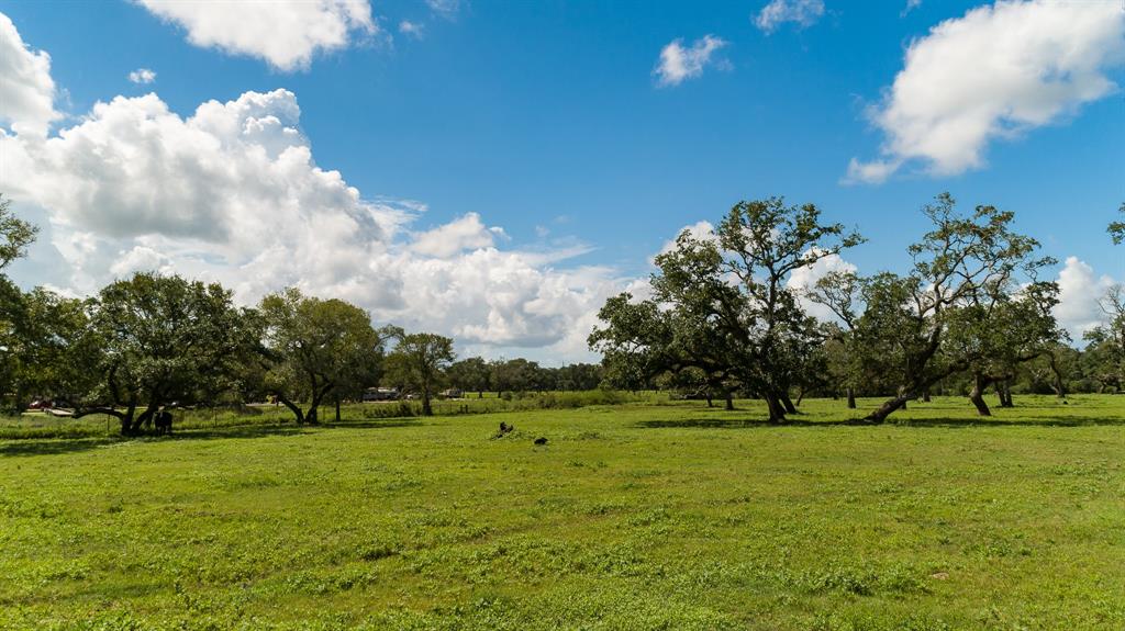 911 Brazos River Road, Freeport, Texas 77541, ,Country Homes/acreage,For Sale,Brazos River,6851171