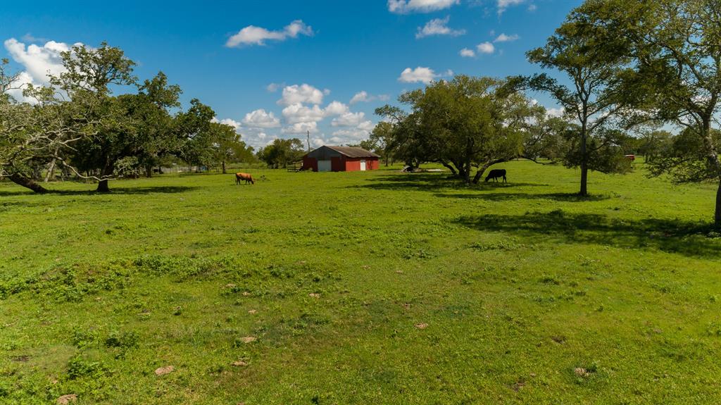 911 Brazos River Road, Freeport, Texas 77541, ,Country Homes/acreage,For Sale,Brazos River,6851171