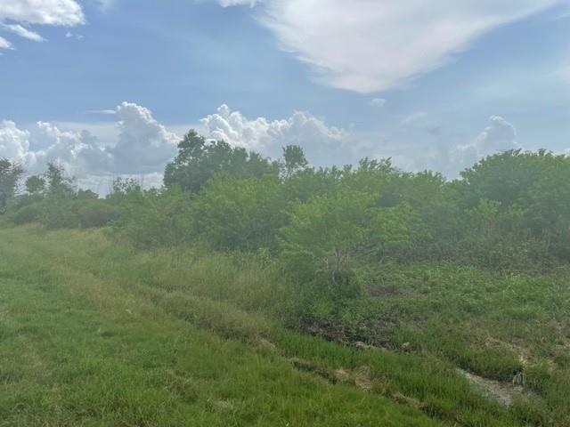 0 County Road 121, Rosharon, Texas 77583, ,Country Homes/acreage,For Sale,County Road 121,10707188