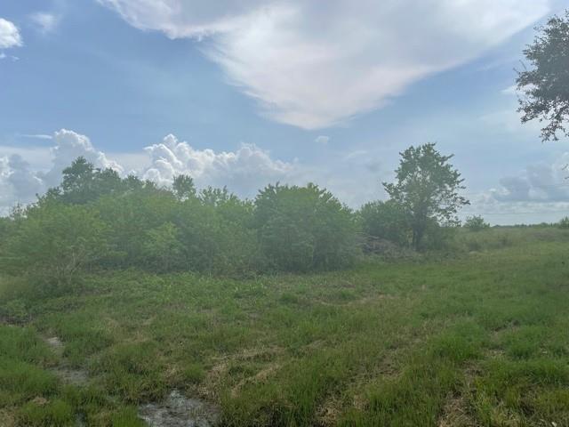 0 County Road 121, Rosharon, Texas 77583, ,Country Homes/acreage,For Sale,County Road 121,10707188