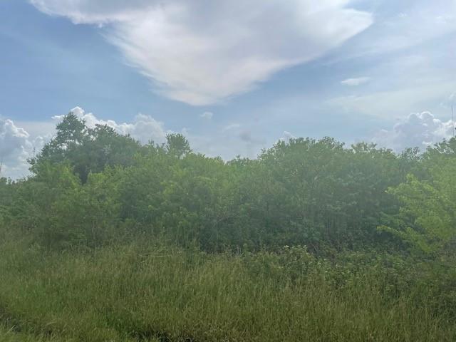 0 County Road 121, Rosharon, Texas 77583, ,Country Homes/acreage,For Sale,County Road 121,10707188