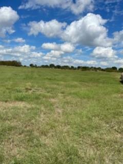 3446 Macha Road, Wallis, Texas 77485, ,Lots,For Sale,Macha,53211181