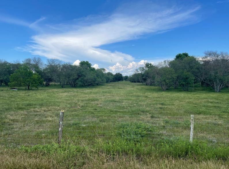 0 Will Lehmann Road, Needville, Texas 77461, ,Lots,For Sale,Will Lehmann,4943525