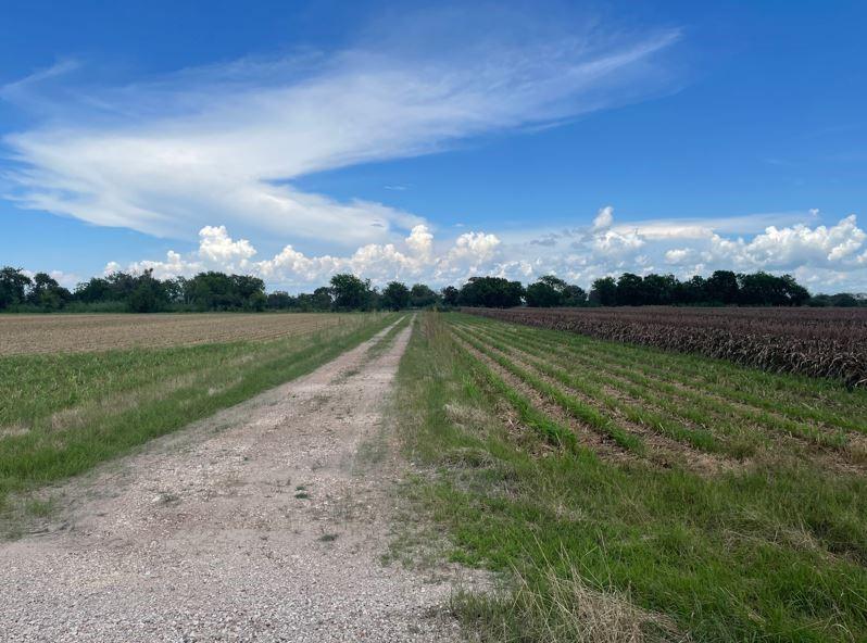 0 Will Lehmann Road, Needville, Texas 77461, ,Lots,For Sale,Will Lehmann,4943525