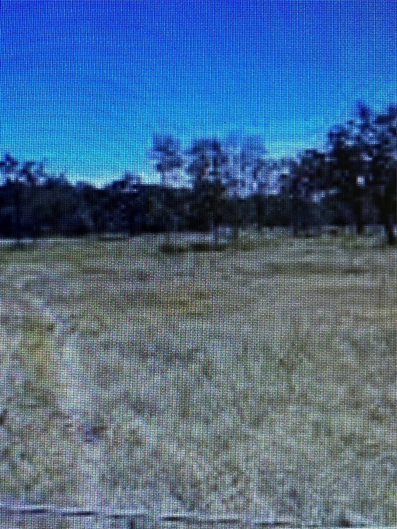 22065  Fm 978  Madisonville Texas 77871, 63