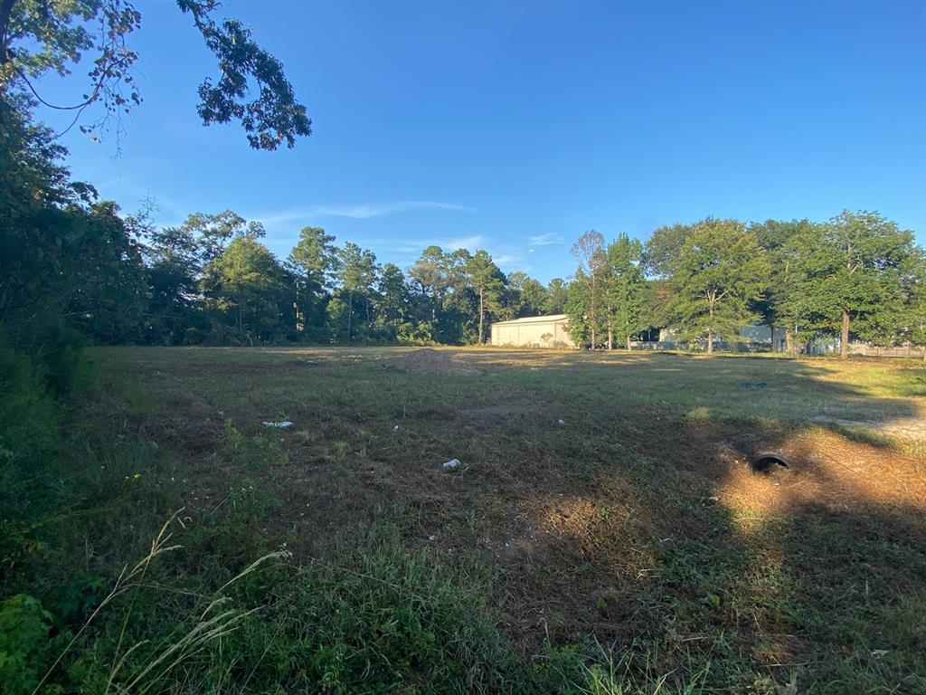 000 Tamina Road, Magnolia, Texas 77354, ,Lots,For Sale,Tamina,89681208