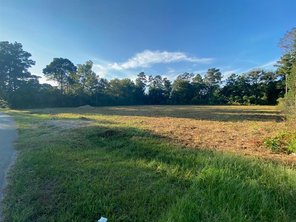 000 Tamina Road, Magnolia, Texas 77354, ,Lots,For Sale,Tamina,89681208